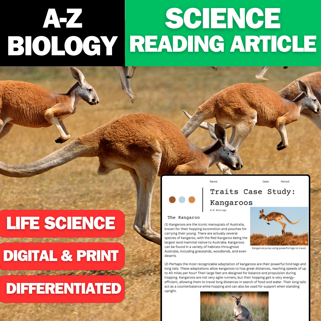 A-Z Biology - Kangaroos - A Traits Case Study