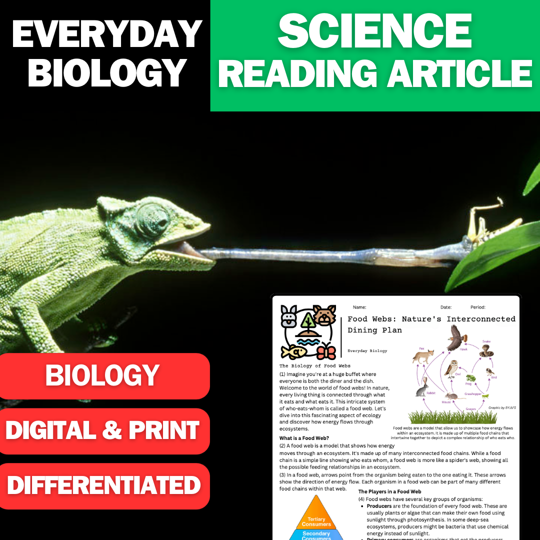 Everyday Biology - Food Webs & Energy Flow