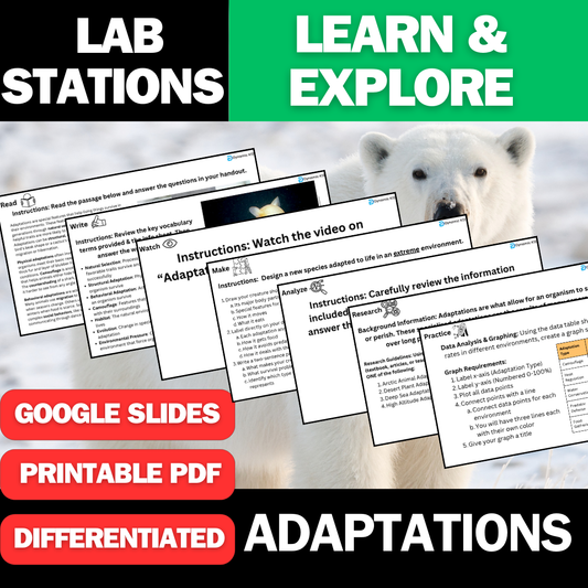 Adaptations - Student Lab Stations Activity - Middle School Science