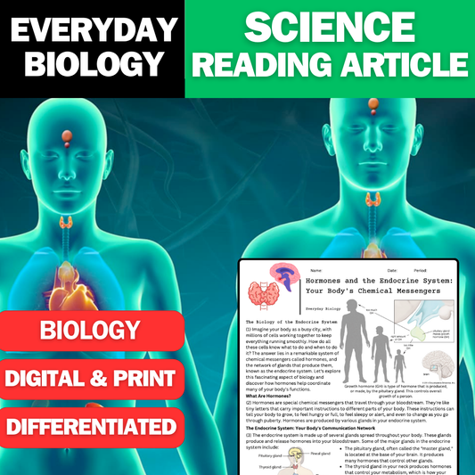 Everyday Biology - The Endocrine System & Hormones