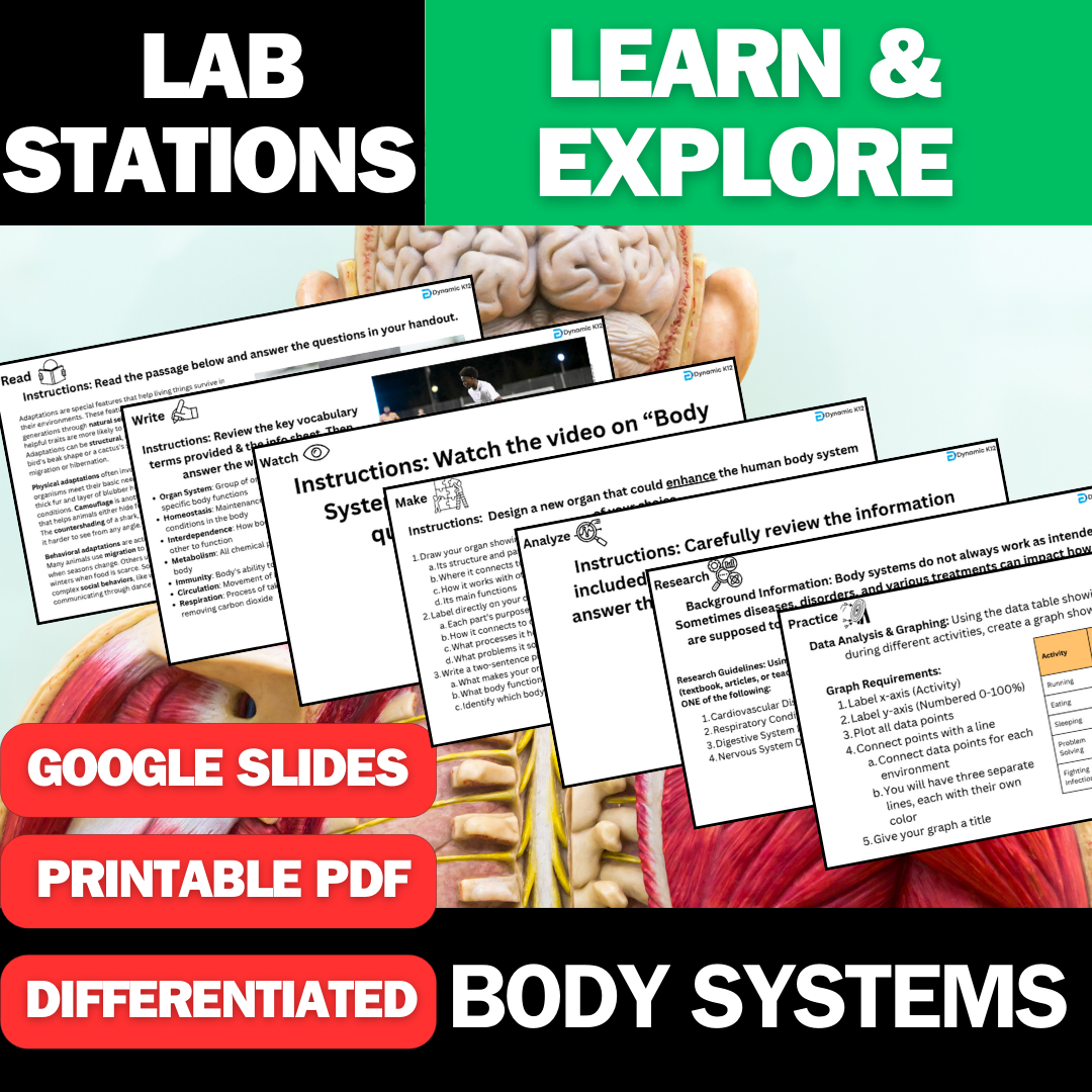 Body Systems - Student Lab Stations Activity - Middle School Science