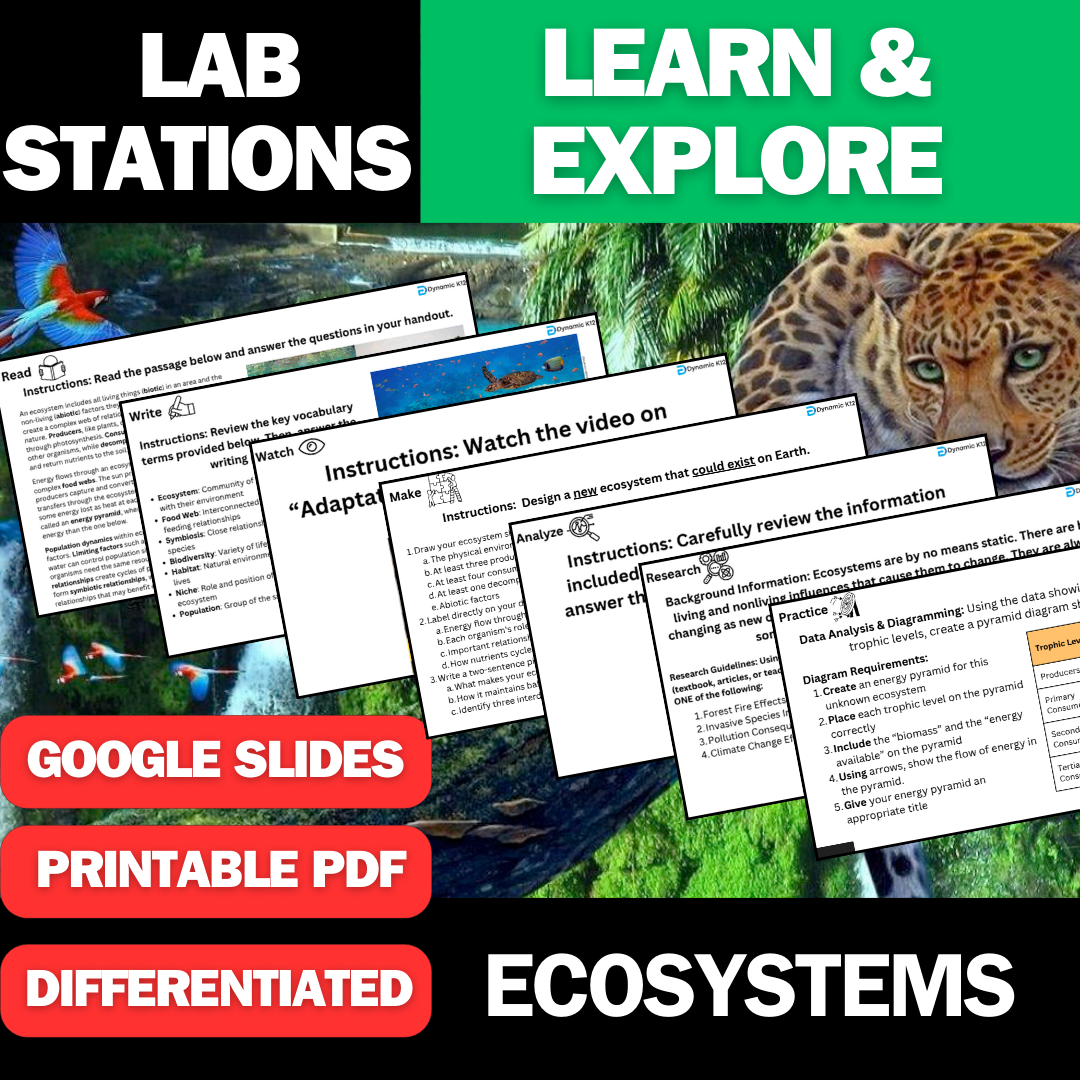 Ecosystems - Student Lab Stations Activity - Middle School Science