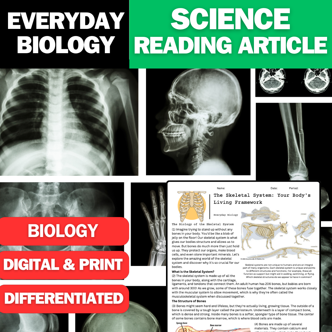 Everyday Biology - Human & Animal Body Systems