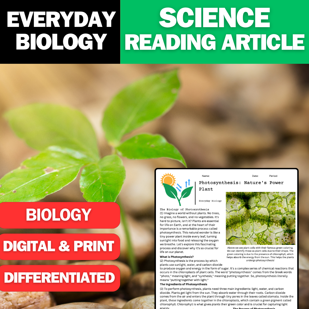 Everyday Biology - Photosynthesis