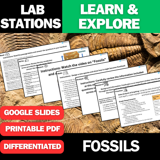 Fossils & the Fossil Record - Student Lab Stations Activity - Middle School Science