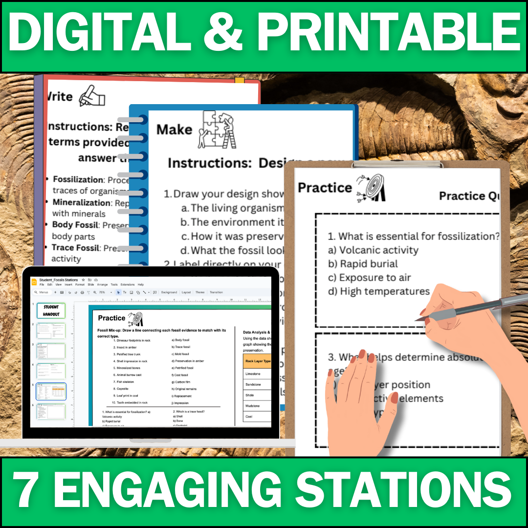 Fossils & the Fossil Record - Student Lab Stations Activity - Middle School Science