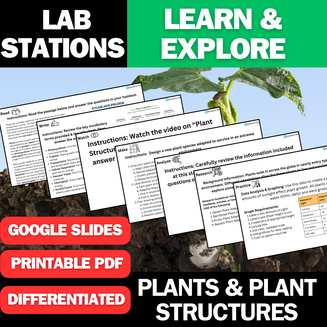 Plants & Plant Structures - Student Lab Stations Activity - Middle School Science