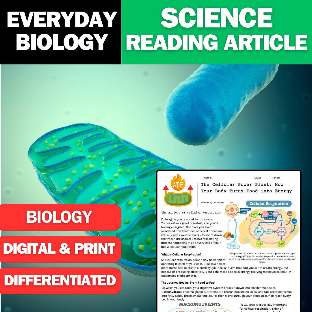 Everyday Biology - Cellular Respiration