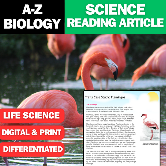 A-Z Biology - Flamingos - A Traits Case Study