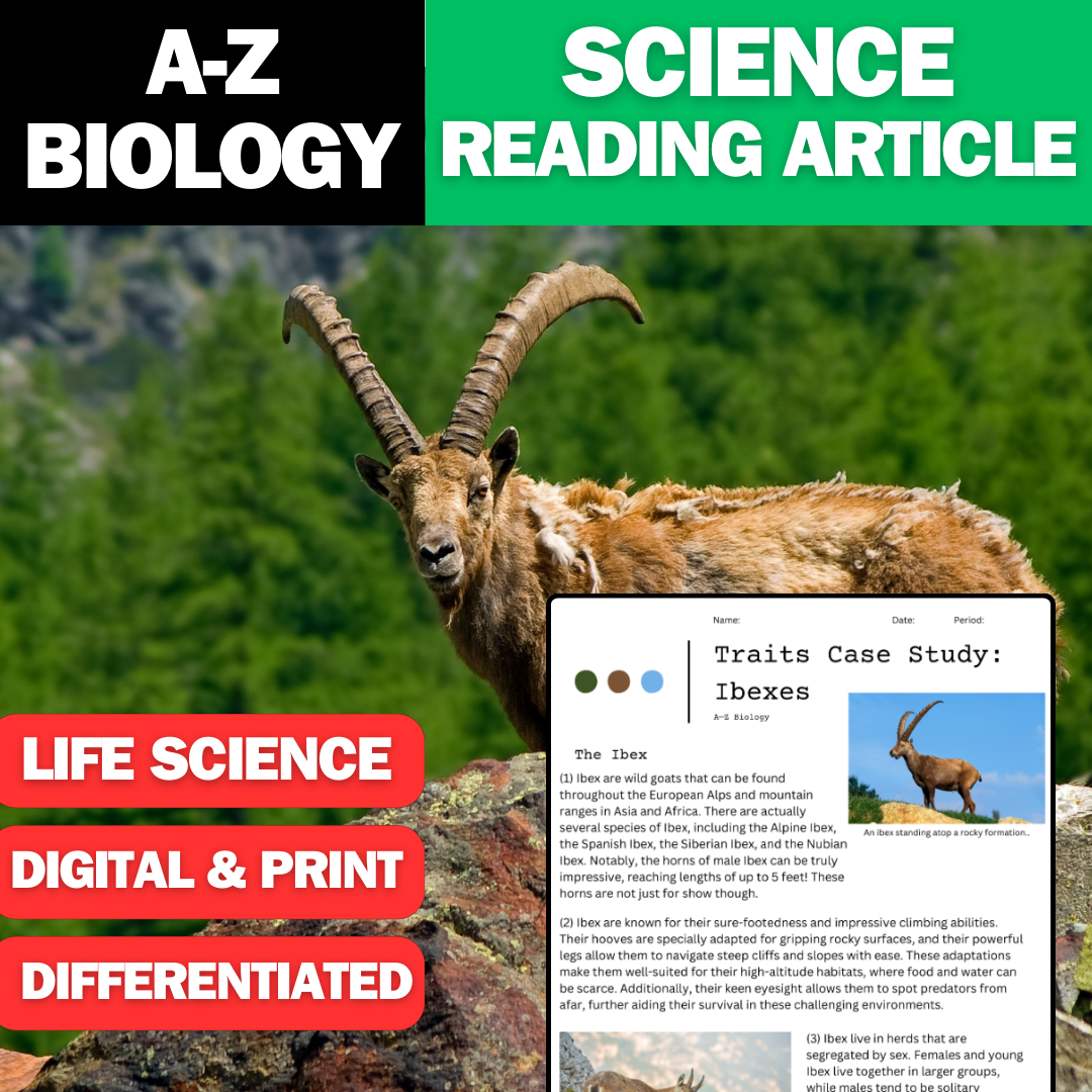 A-Z Biology - Ibexes - A Traits Case Study