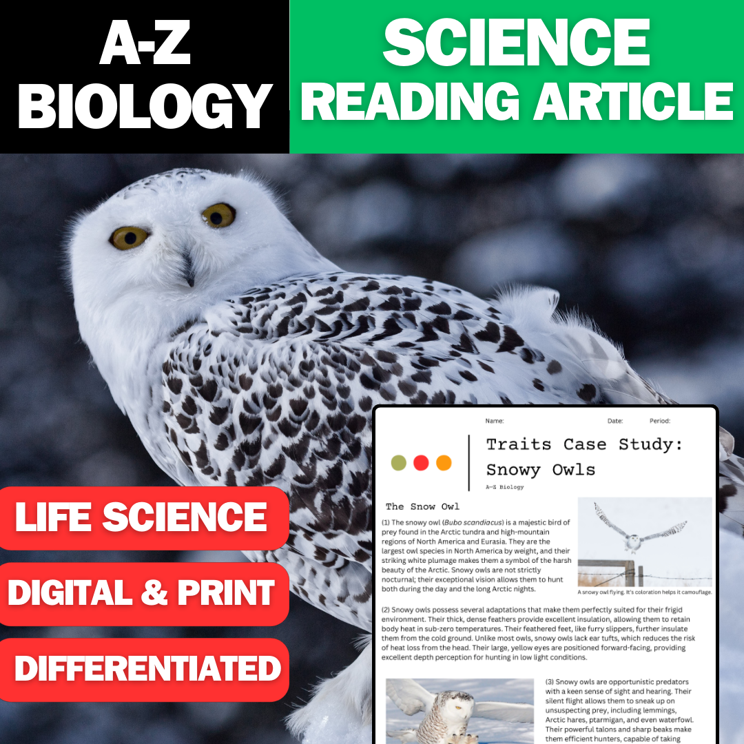 A-Z Biology - Snowy Owls