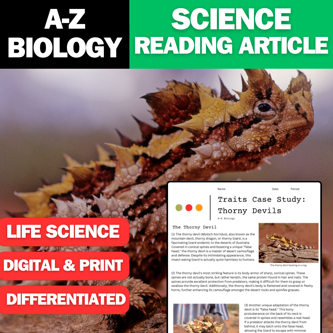 A-Z Biology - Thorny Devils