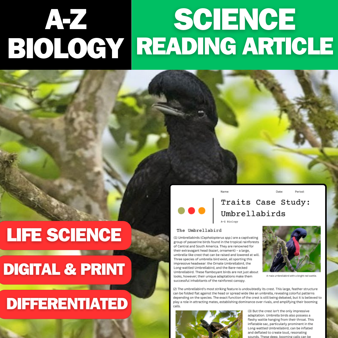 A-Z Biology - Umbrellabirds