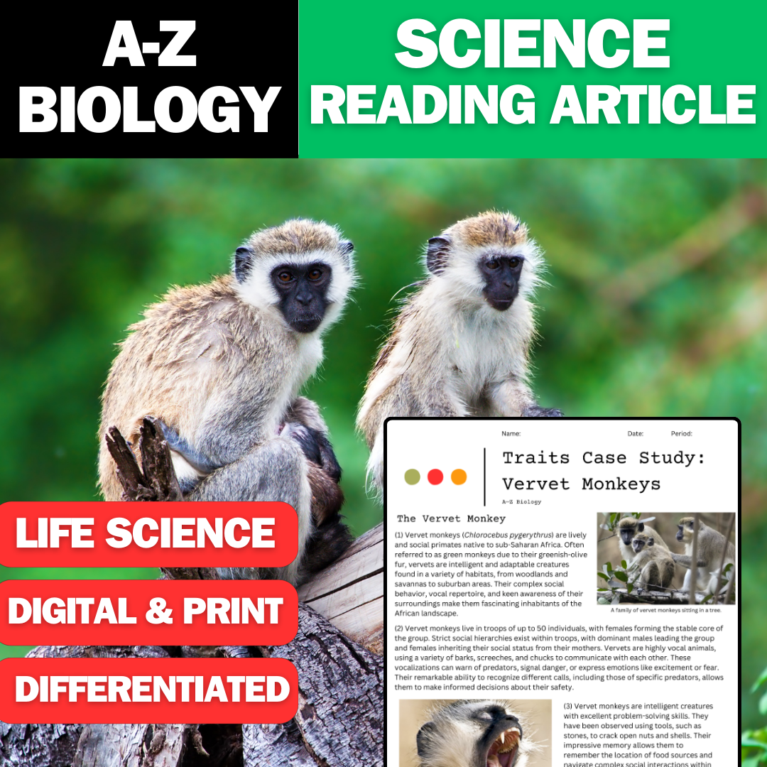 A-Z Biology - Vervet Monkeys